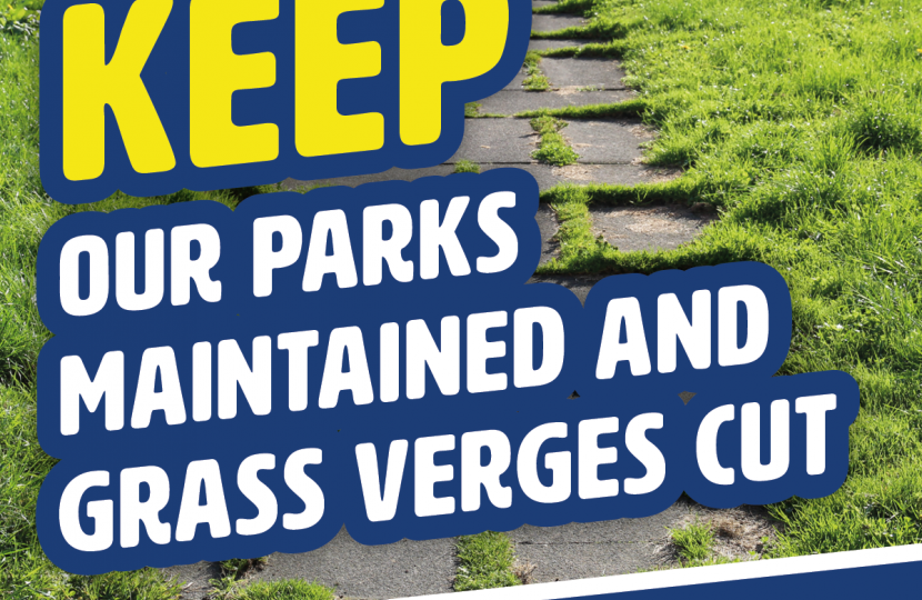 Keep our parks and grass verges maintained