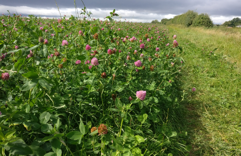 greenbelt field Greasby