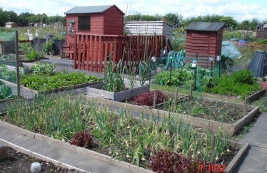 allotment